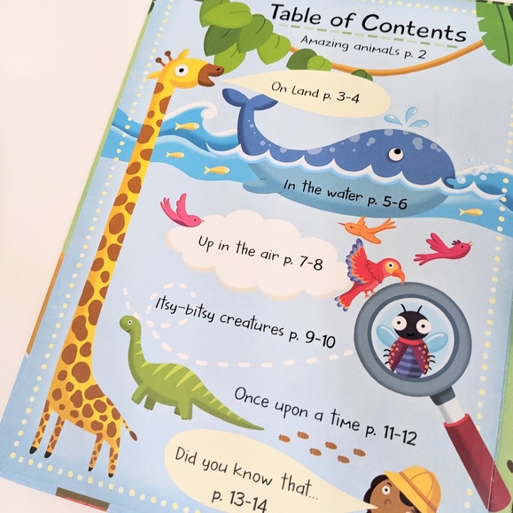 ⭐ My Big Book of Answers: Animals Flap Book⭐ - Picture 4 of 9